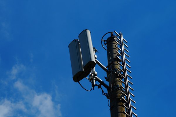 Quelle solution pour la digitalisation des commandes dans un service de restauration hospitalière?